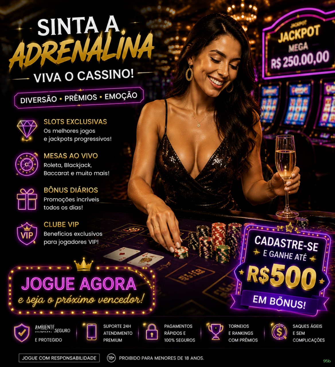 95b Provedores Premium